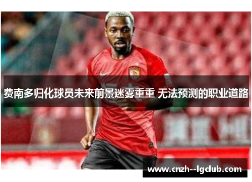 费南多归化球员未来前景迷雾重重 无法预测的职业道路 费南多归化球员未来前景迷雾重重 无法预测的职业道路